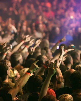 Tripping Daisy & Jumprope