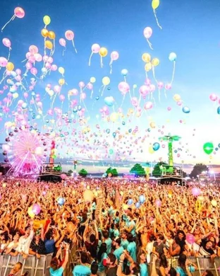 Live concert by The Elovaters