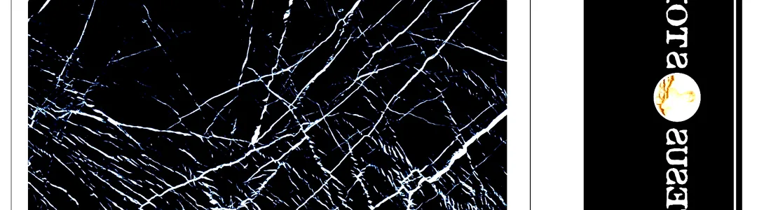 Black Marble