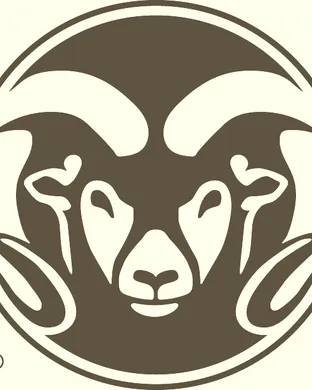 Colorado State Rams vs. Boise State Broncos