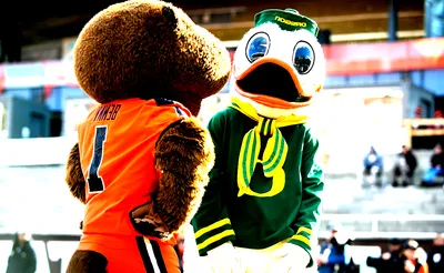 Oregon State Beavers Football