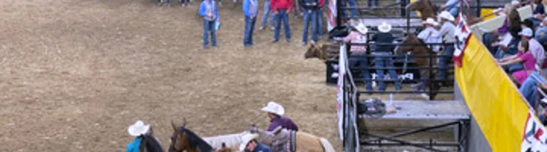 Snake River Stampede