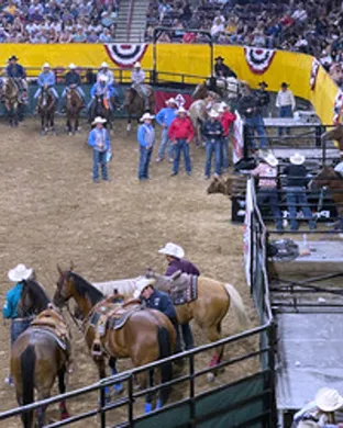 Snake River Stampede