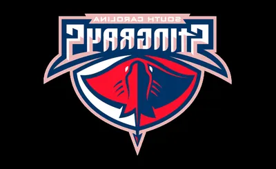 South Carolina Stingrays