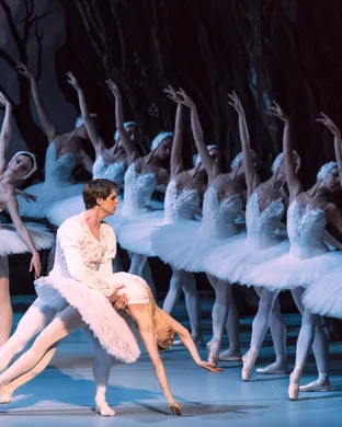 Swan Lake - Symphony of Lights