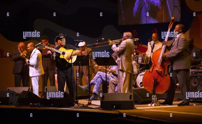 The Buena Vista Orchestra