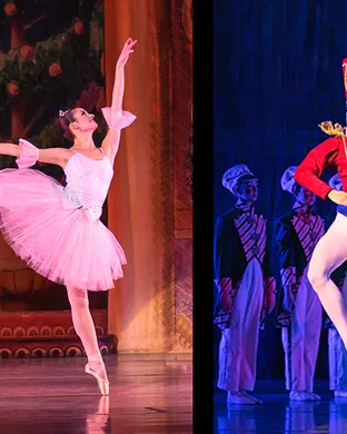 The Nutcracker