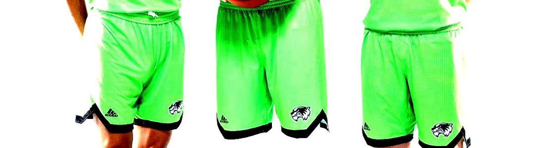 Utah Valley Wolverines