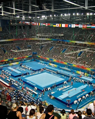 NAPA Auto Parts Ignitor Nitro Opener