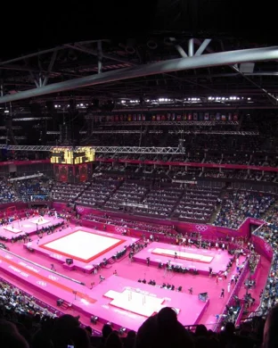 Stanford Cardinal Women's Gymnastics vs. Boise State Broncos